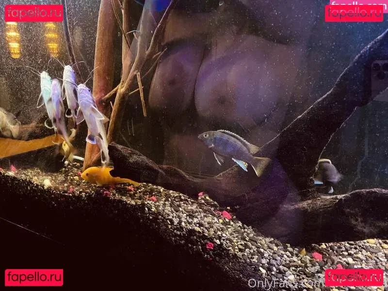 officialmila Onlyfans Photo Gallery 