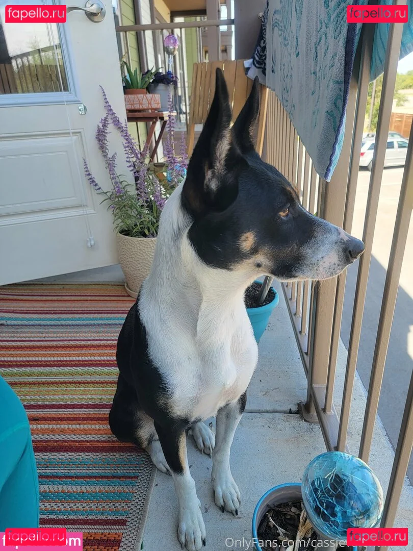 cassievalentine96 Onlyfans Photo Gallery 