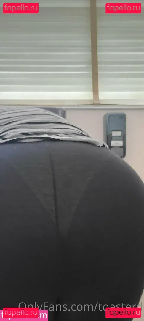 toasterd Onlyfans Photo Gallery 