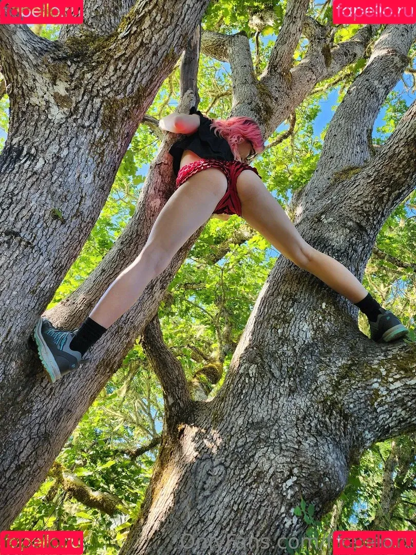faebearx Onlyfans Photo Gallery 
