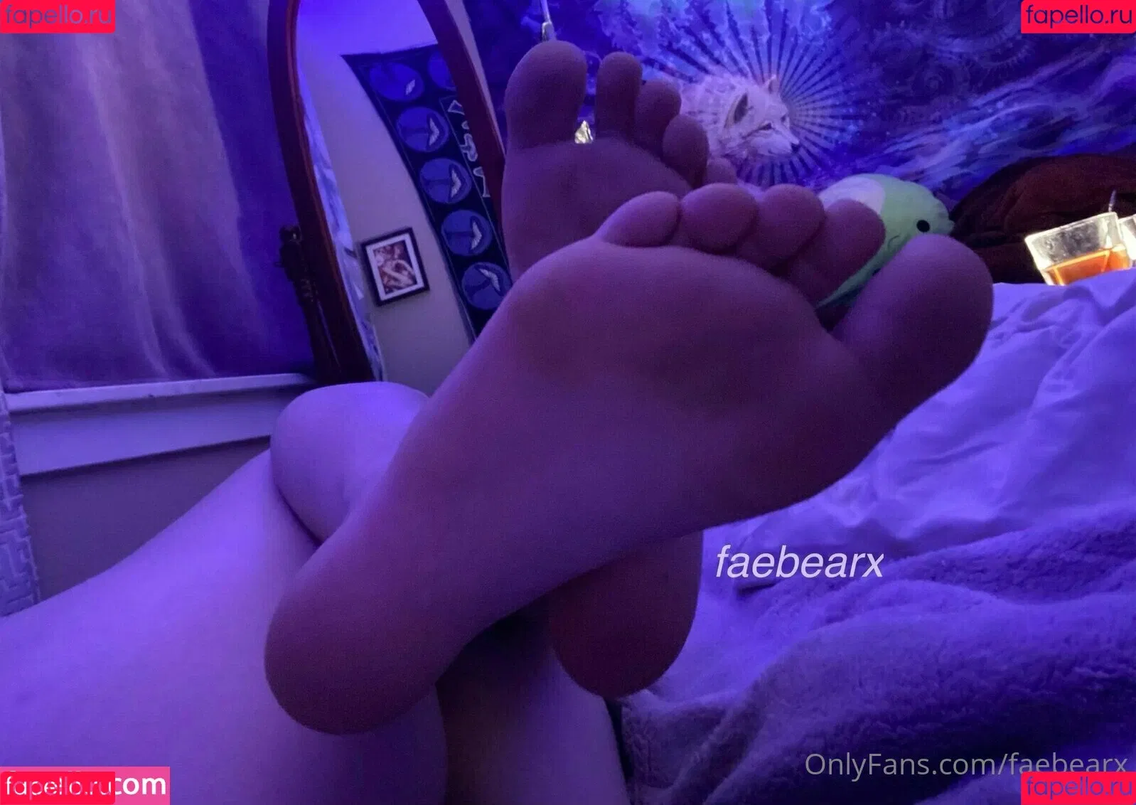 faebearx Onlyfans Photo Gallery 