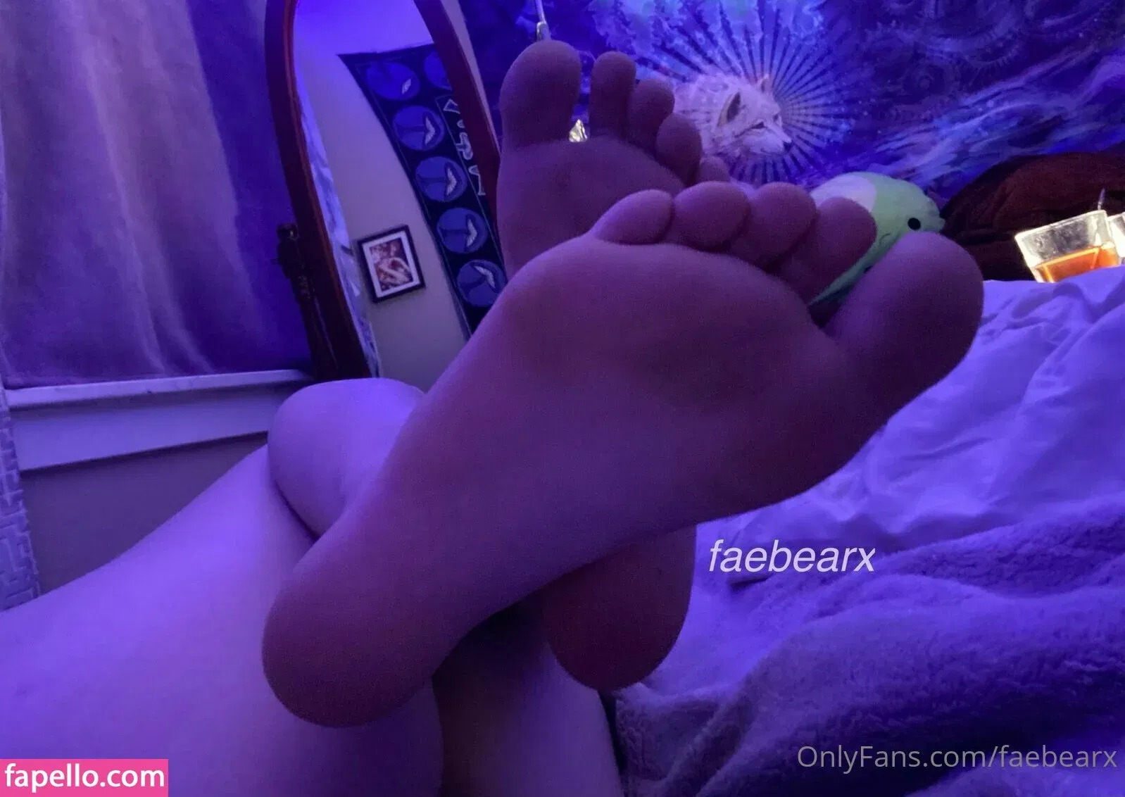 faebearx Onlyfans Photo Gallery 