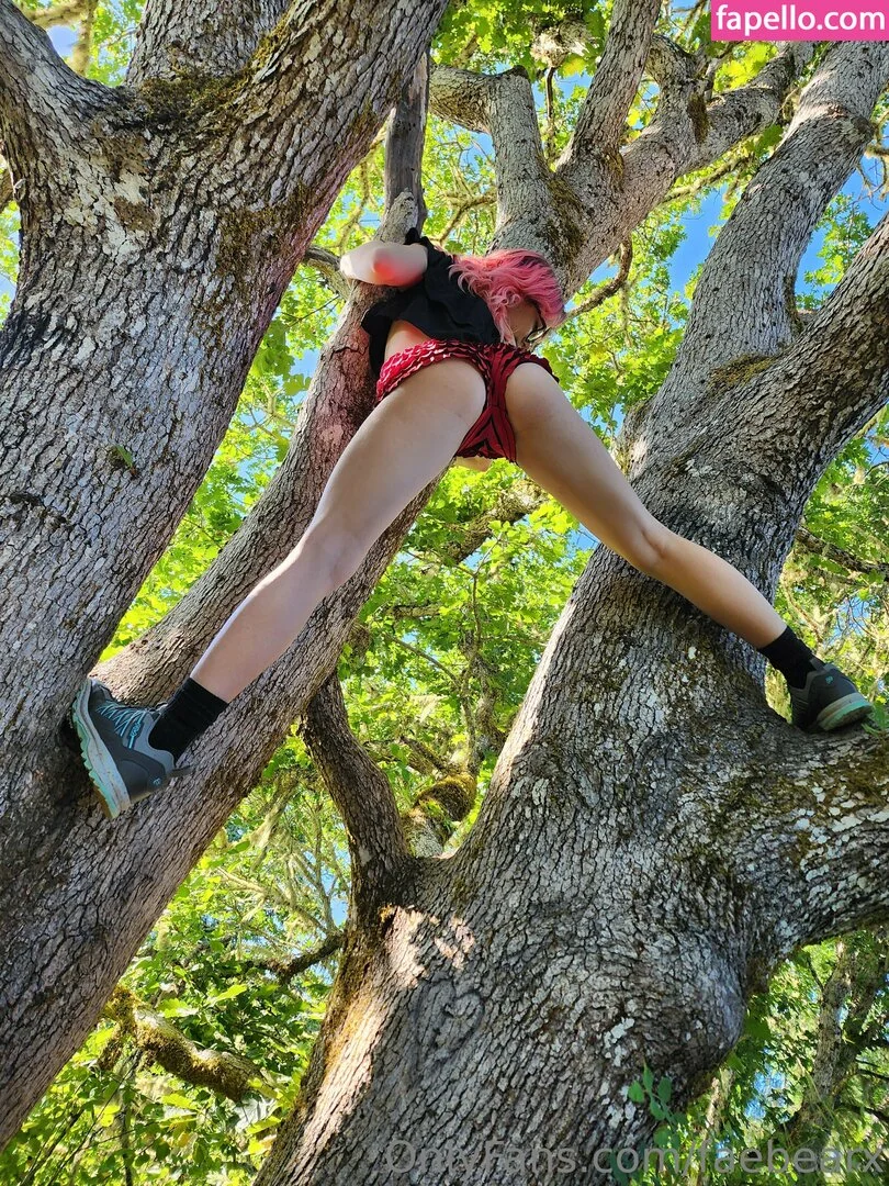 faebearx Onlyfans Photo Gallery 