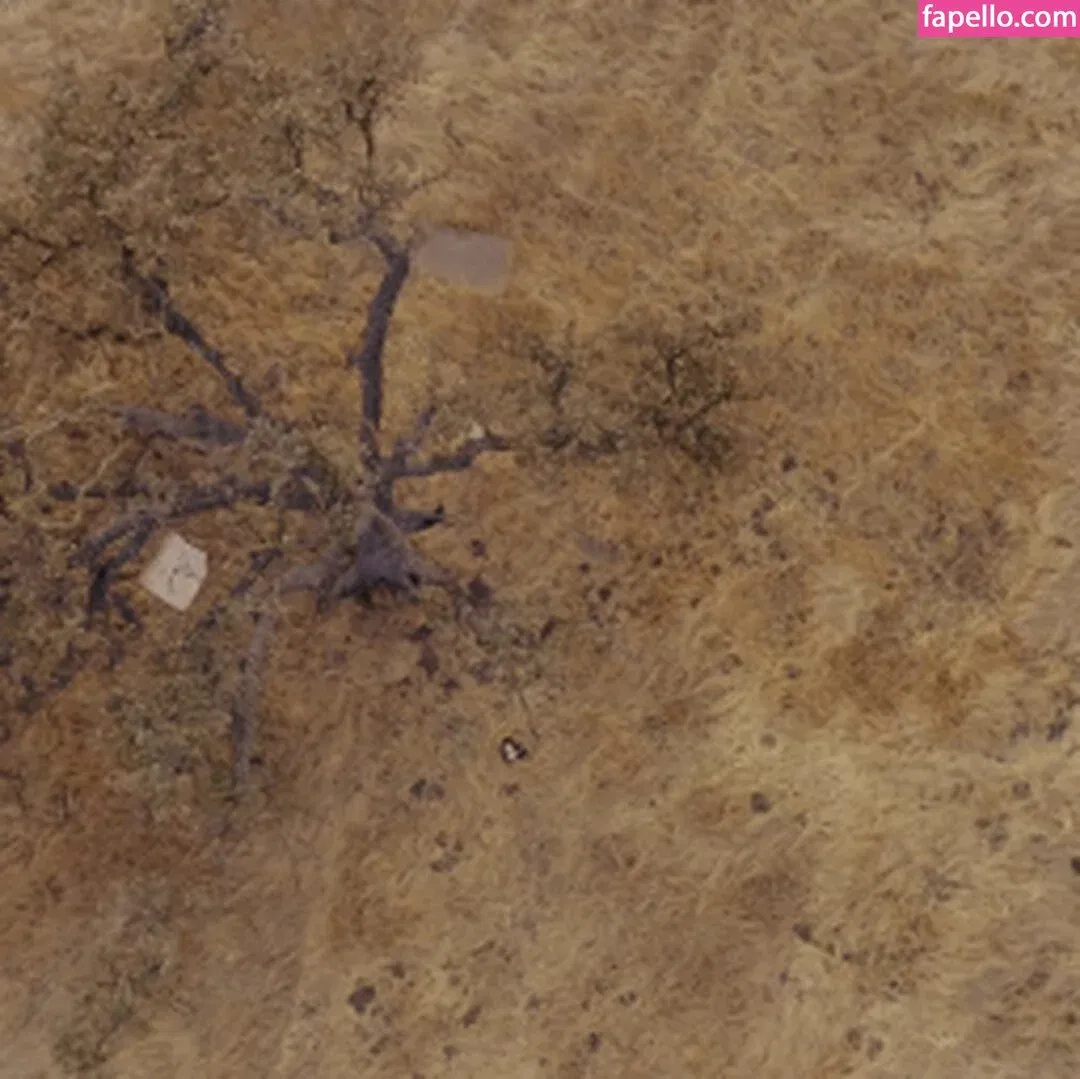 Evelyn Claire Onlyfans Photo Gallery 