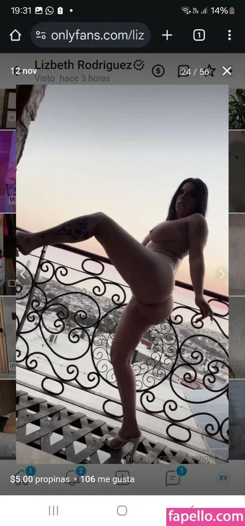 Lizbeth Rodríguez Onlyfans Photo Gallery 