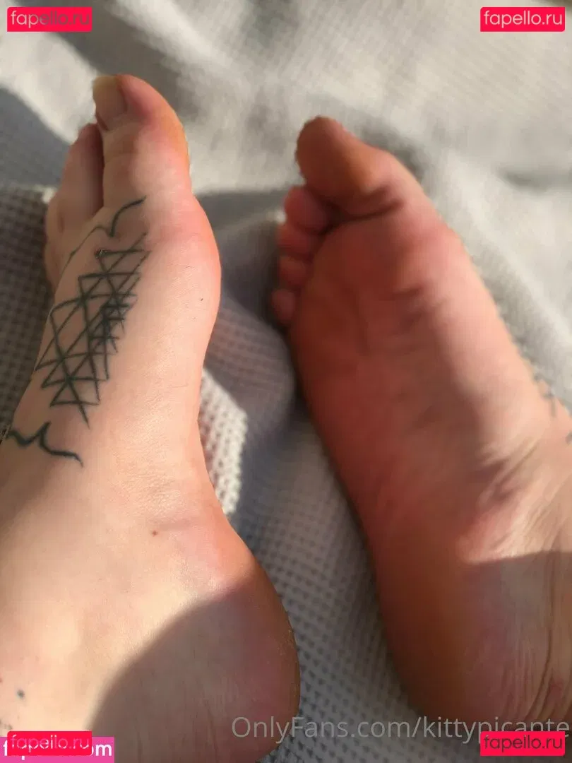 kittypicante Onlyfans Photo Gallery 