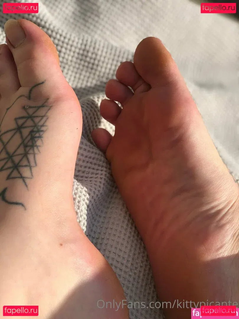 kittypicante Onlyfans Photo Gallery 