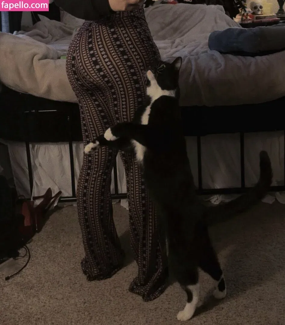 Cyb4rAnGeL Onlyfans Photo Gallery 