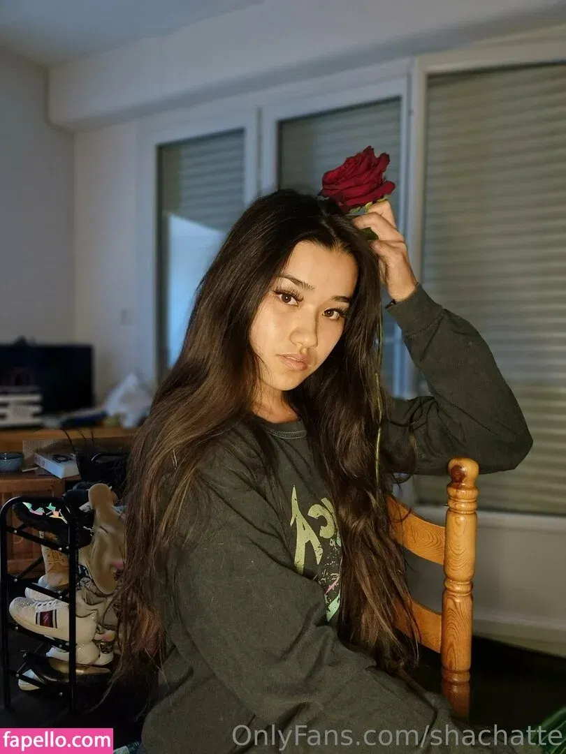 shachatte Onlyfans Photo Gallery 