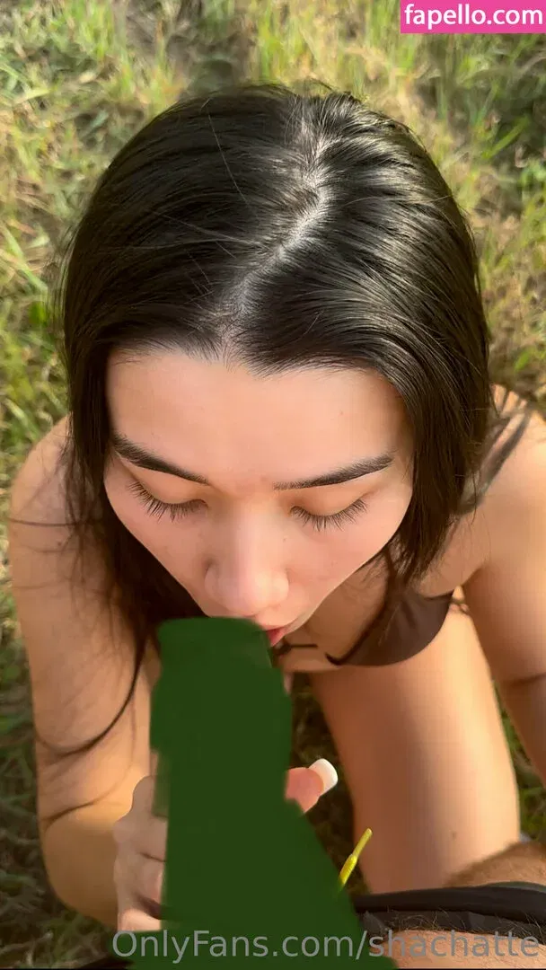 shachatte Onlyfans Photo Gallery 