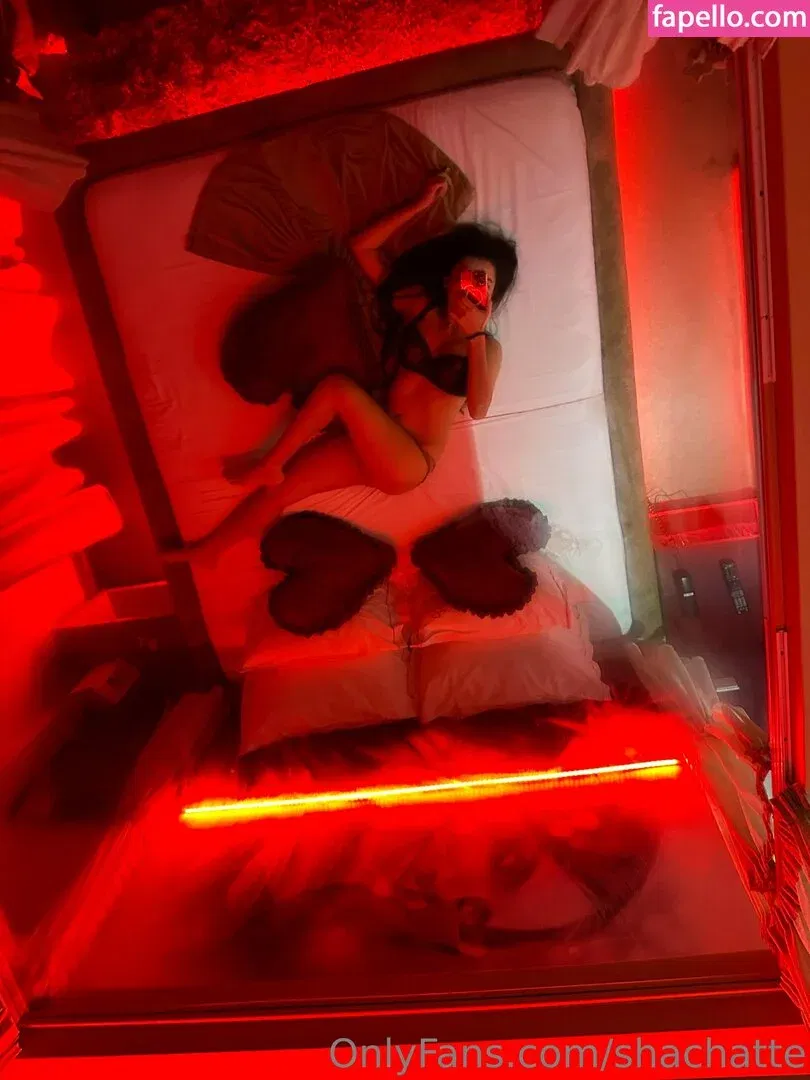 shachatte Onlyfans Photo Gallery 