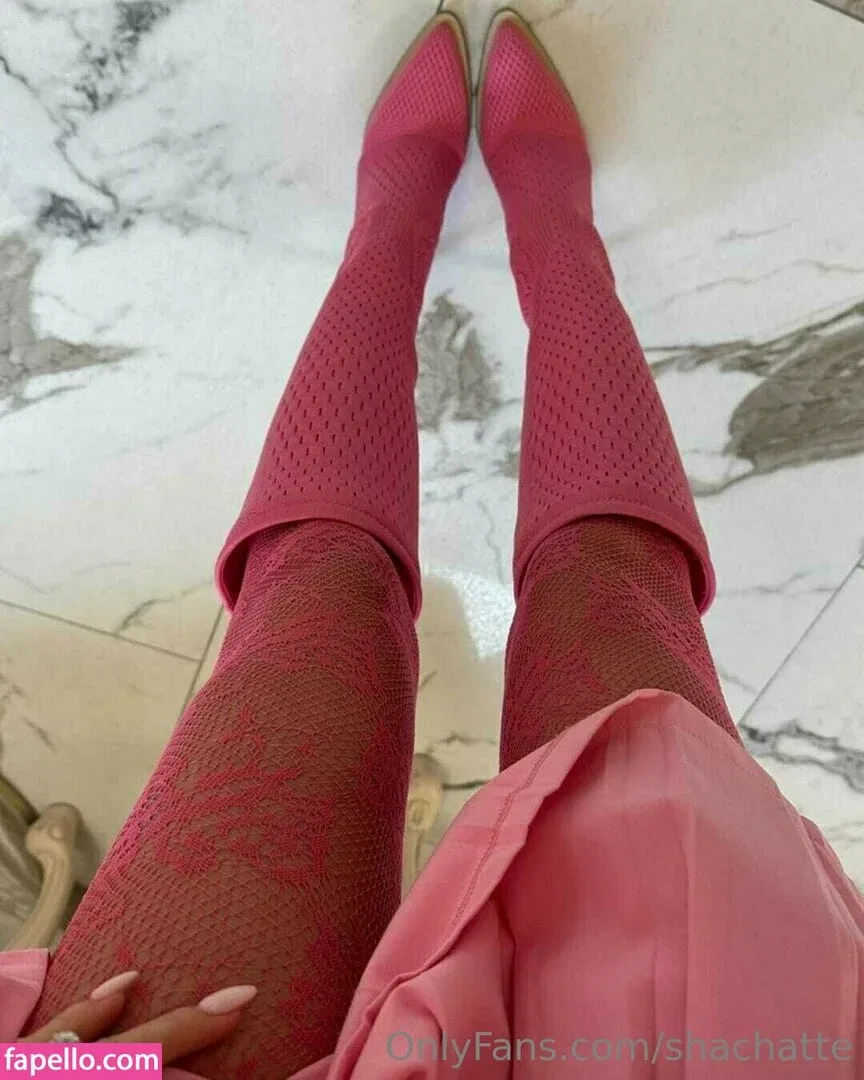 shachatte Onlyfans Photo Gallery 