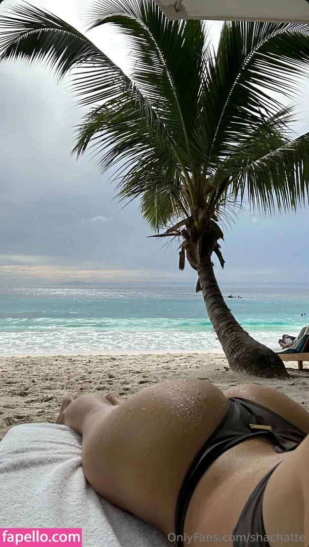 shachatte Onlyfans Photo Gallery 