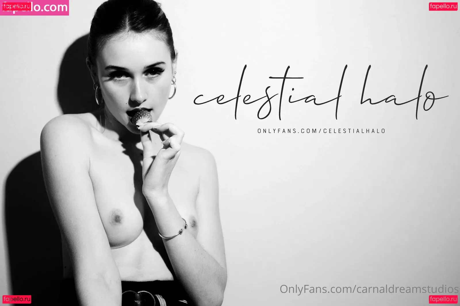 carnaldreamstudios Onlyfans Photo Gallery 