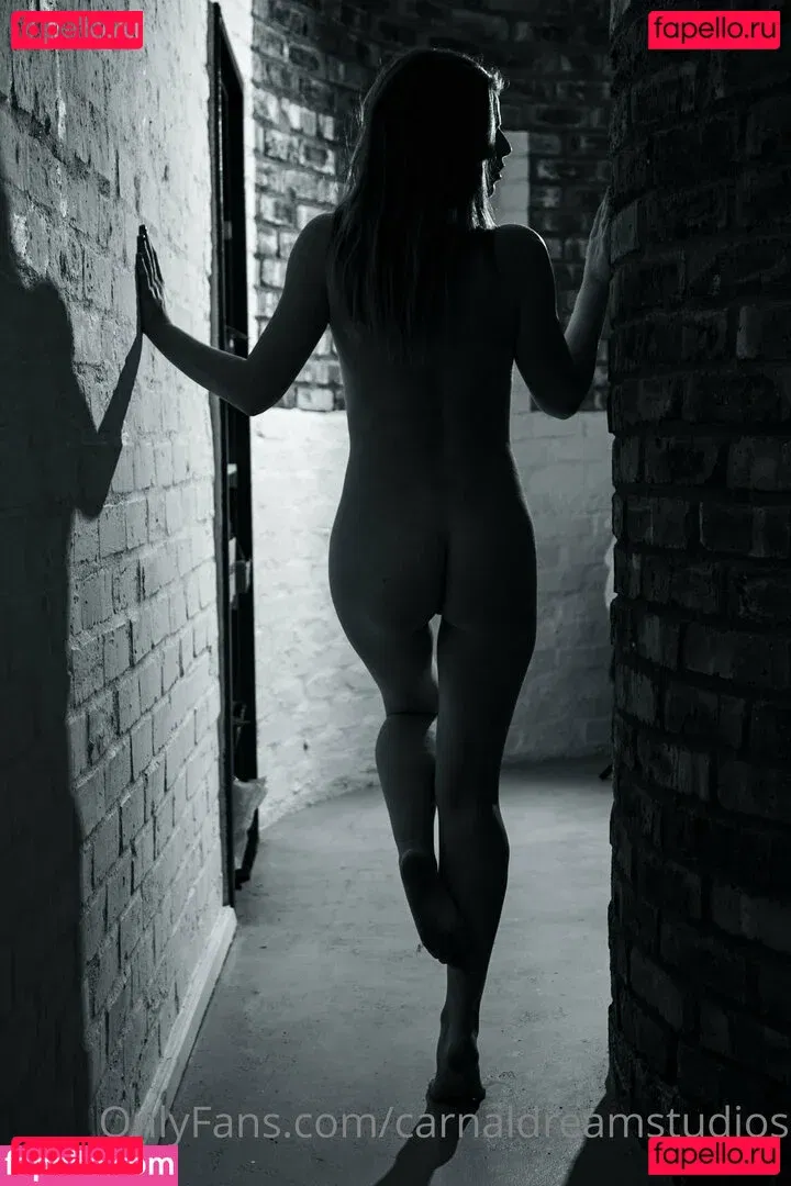 carnaldreamstudios Onlyfans Photo Gallery 
