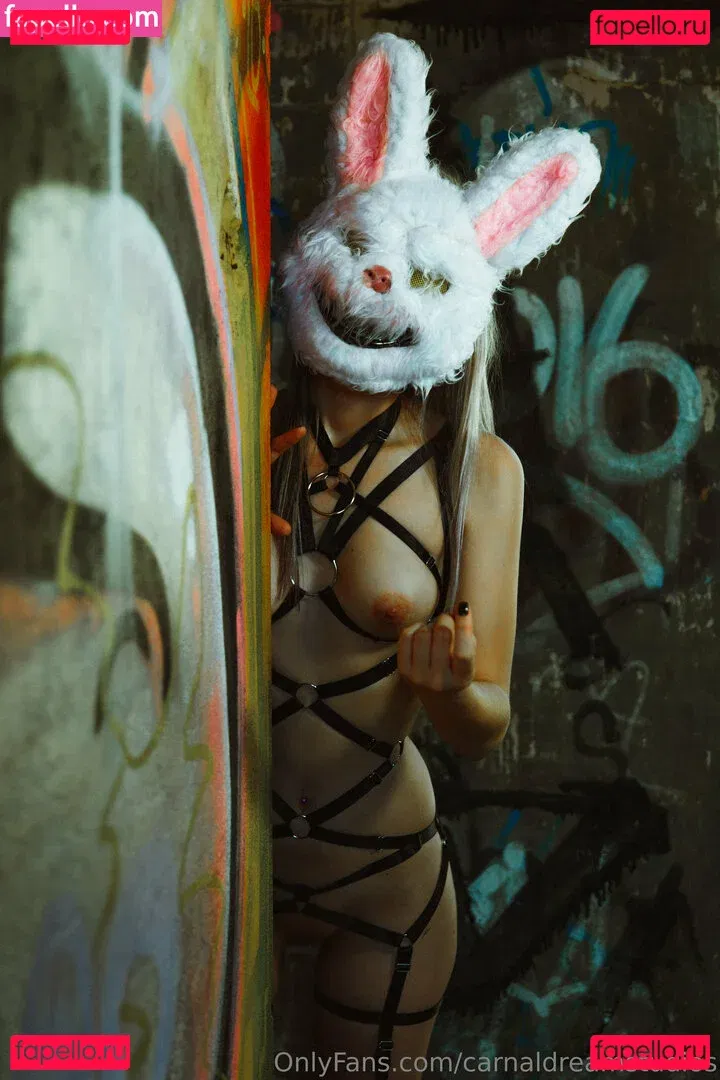 carnaldreamstudios Onlyfans Photo Gallery 