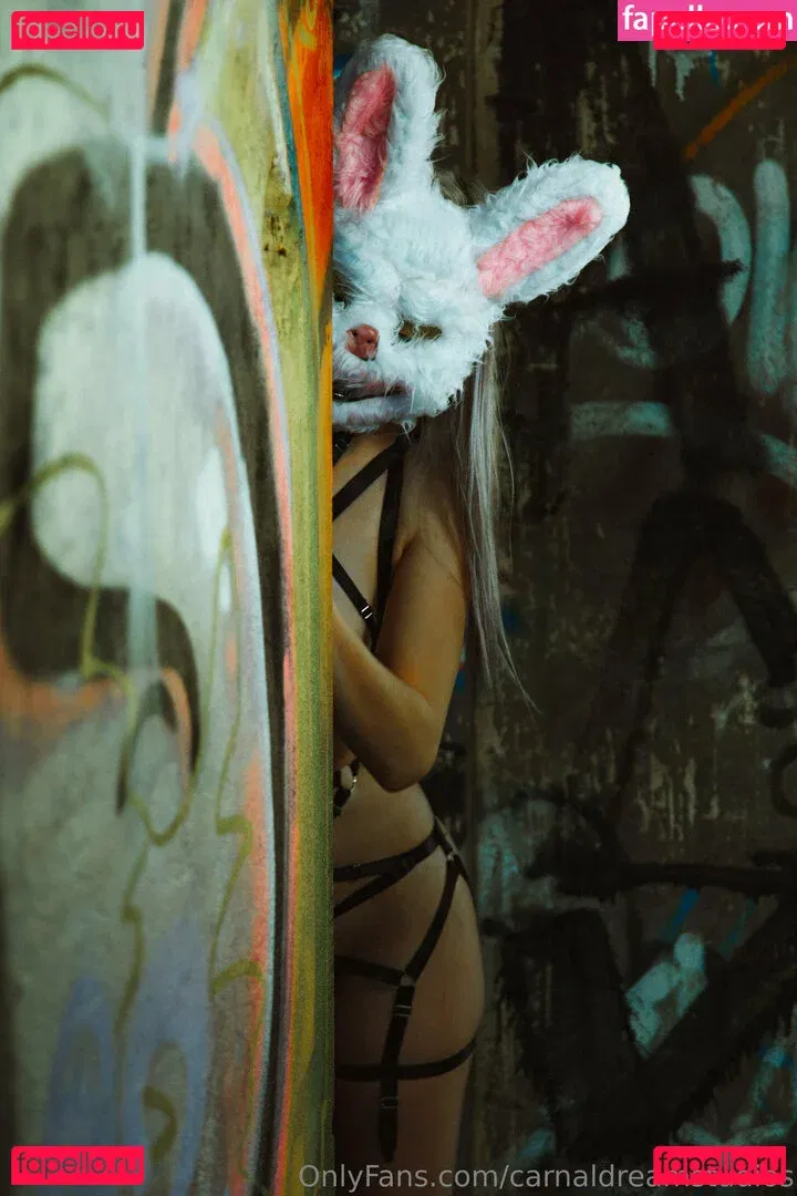 carnaldreamstudios Onlyfans Photo Gallery 