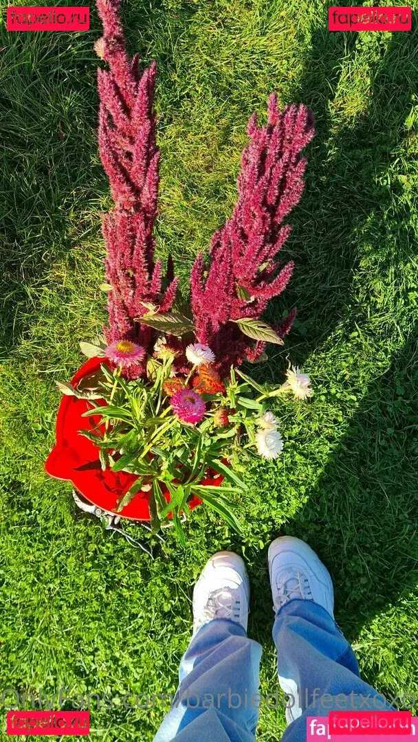 barbiedollfeetxoxofree Onlyfans Photo Gallery 