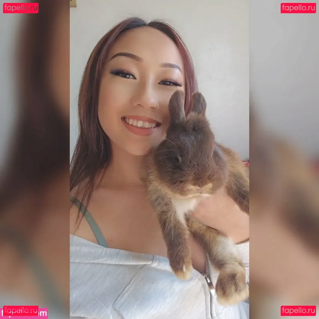 Omgwtfpaa Onlyfans Photo Gallery 