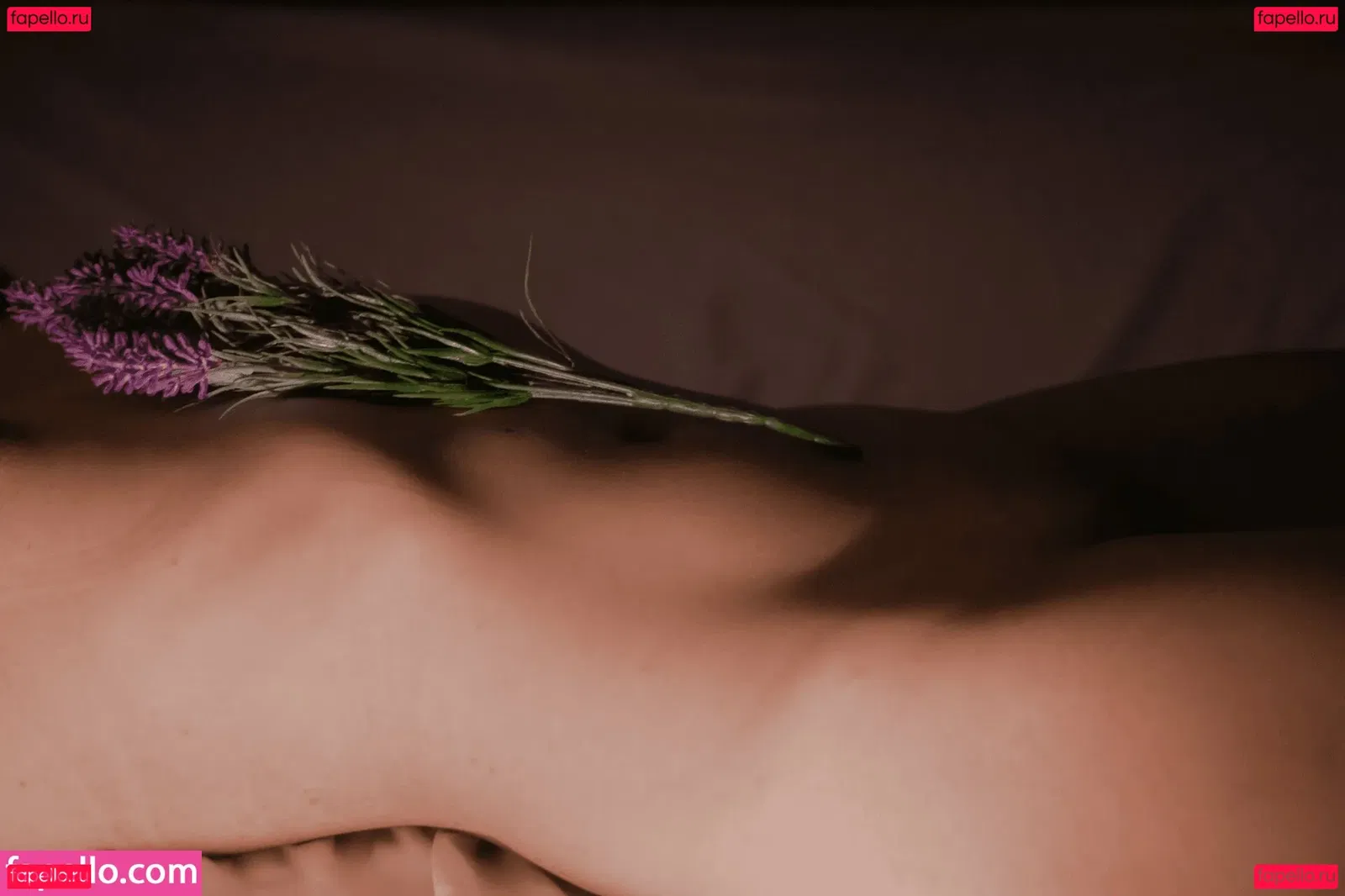 Mikkitty Onlyfans Photo Gallery 