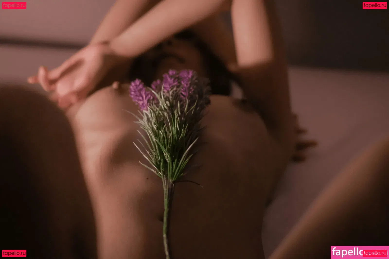 Mikkitty Onlyfans Photo Gallery 