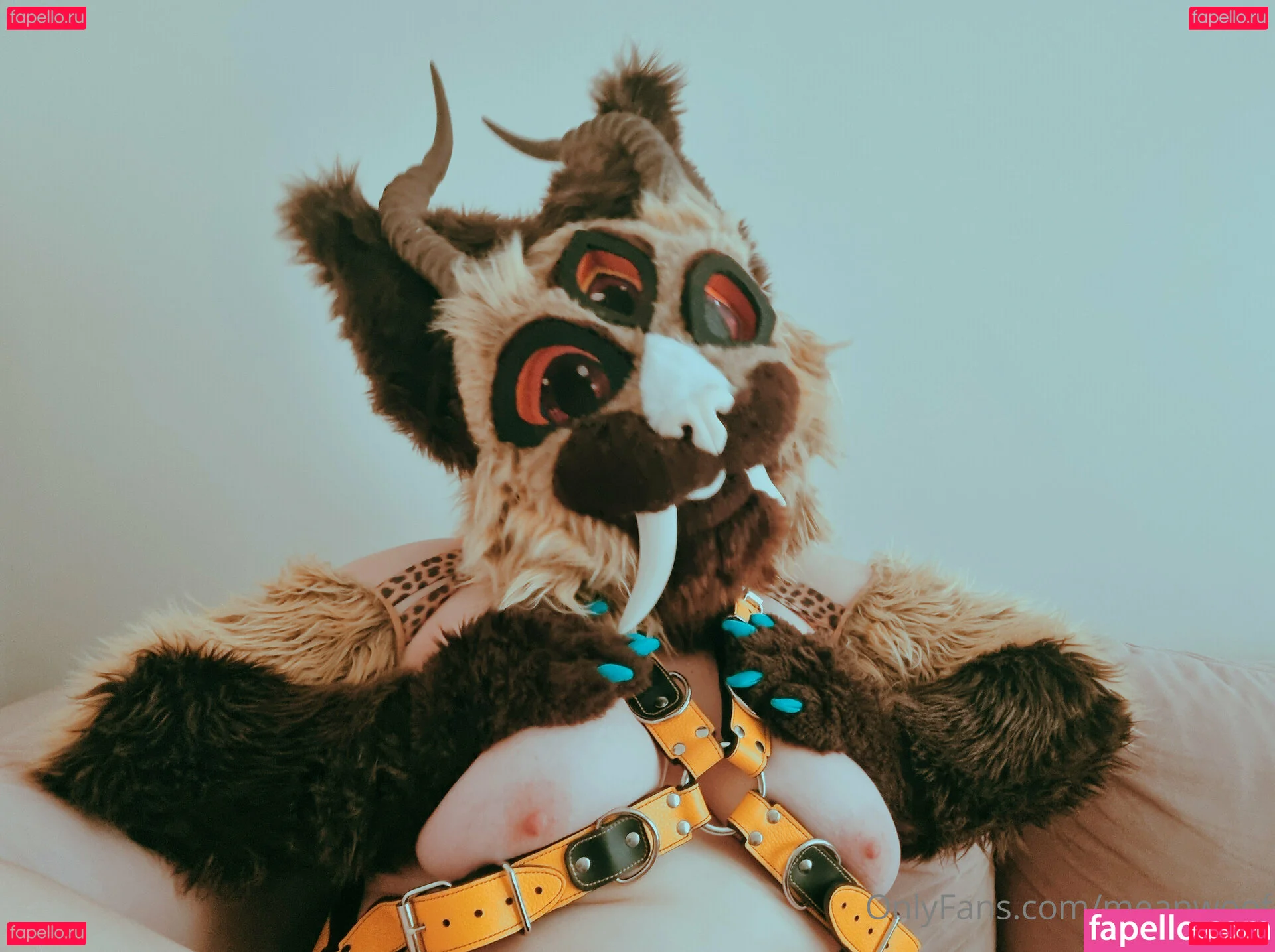 meanwoof Onlyfans Photo Gallery 