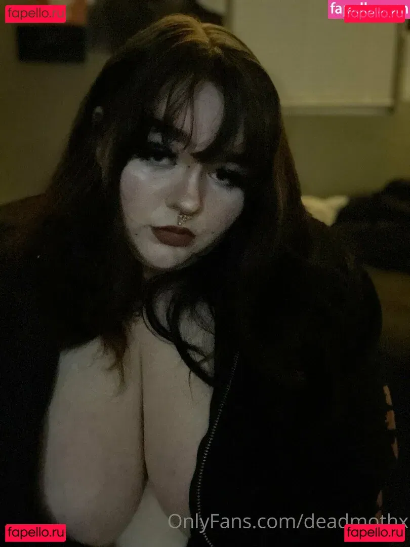 brattyfern Onlyfans Photo Gallery 