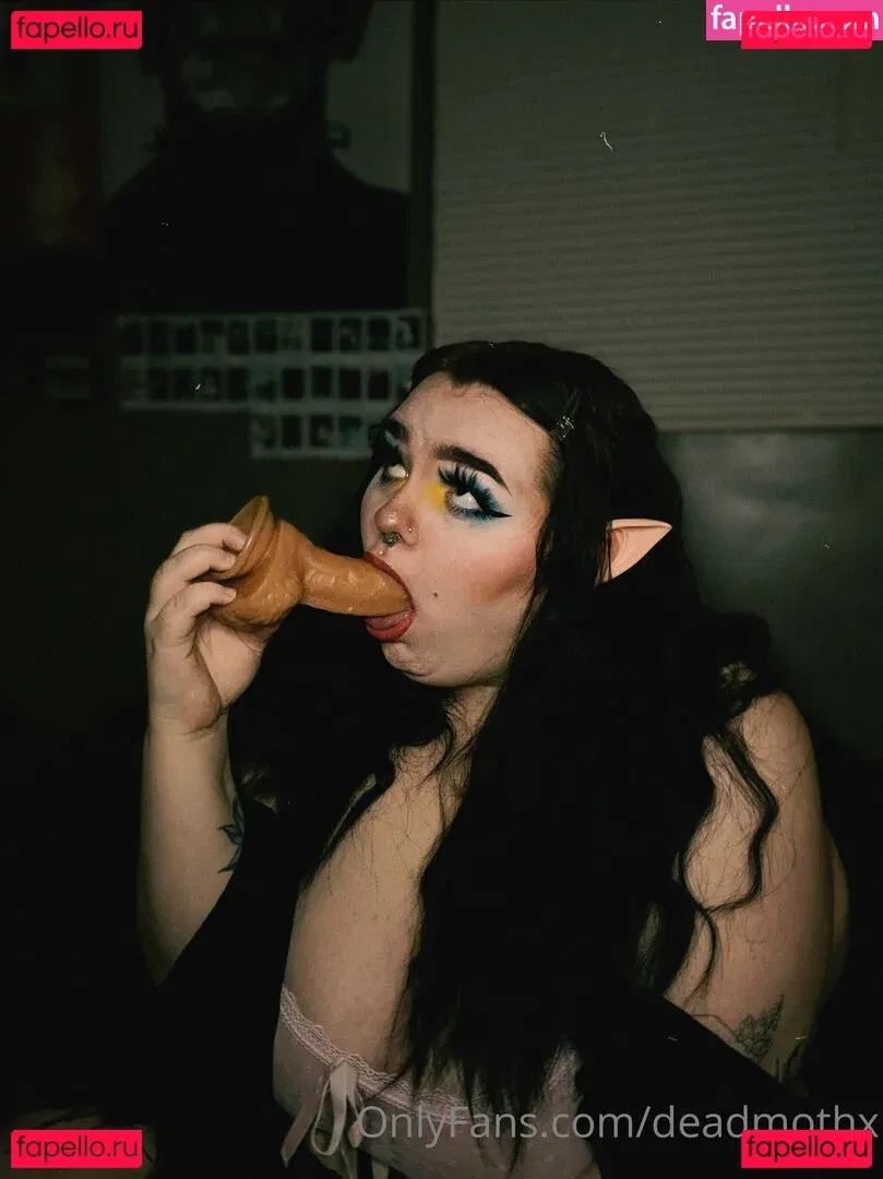 brattyfern Onlyfans Photo Gallery 