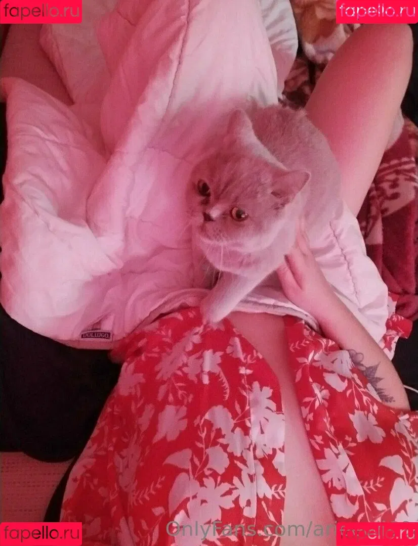 naughtyfoxyyy Onlyfans Photo Gallery 