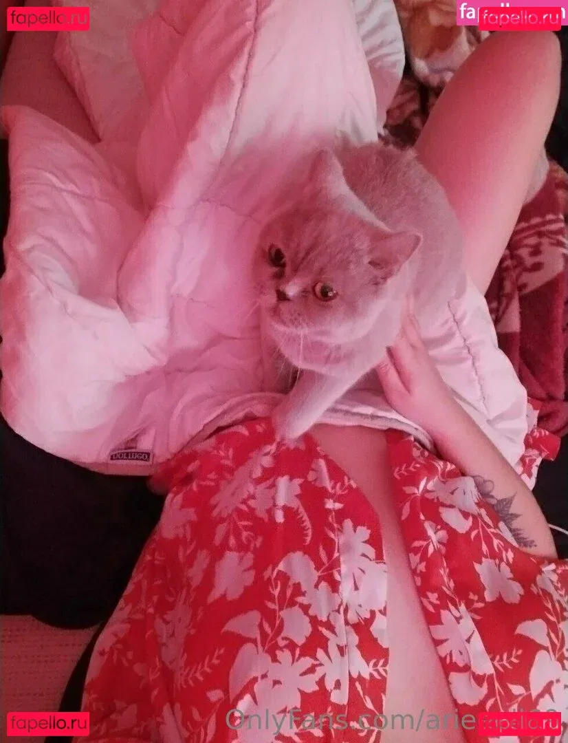 naughtyfoxyyy Onlyfans Photo Gallery 