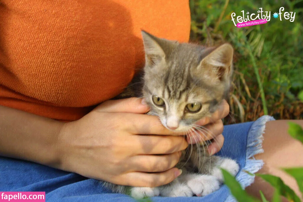 Felicity Fey Onlyfans Photo Gallery 