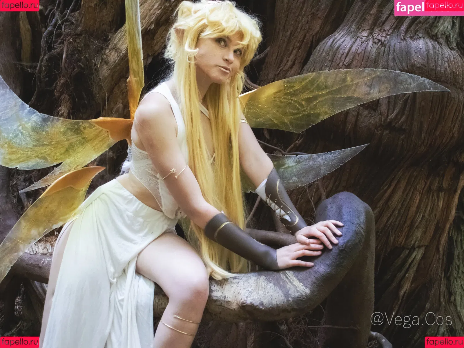 vega.cos Onlyfans Photo Gallery 