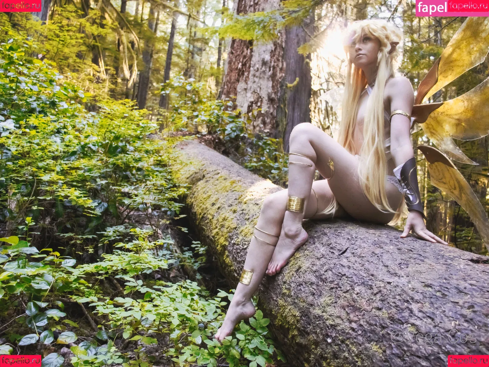vega.cos Onlyfans Photo Gallery 