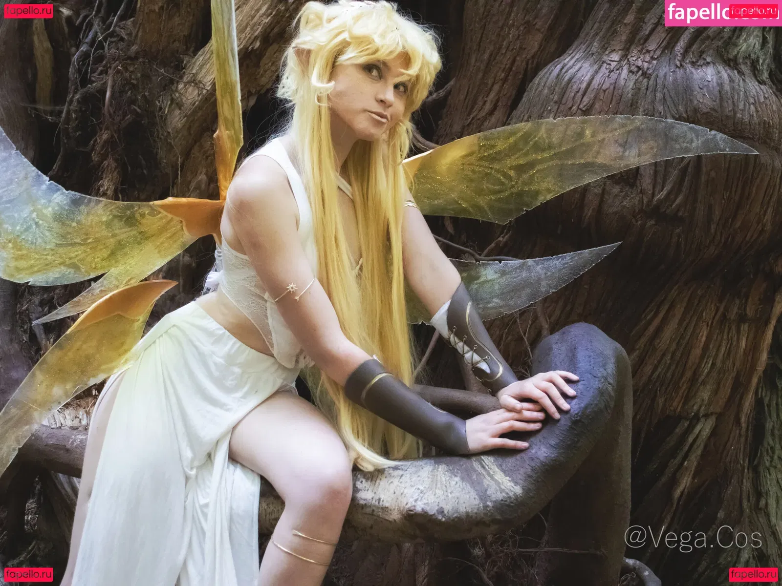 vega.cos Onlyfans Photo Gallery 