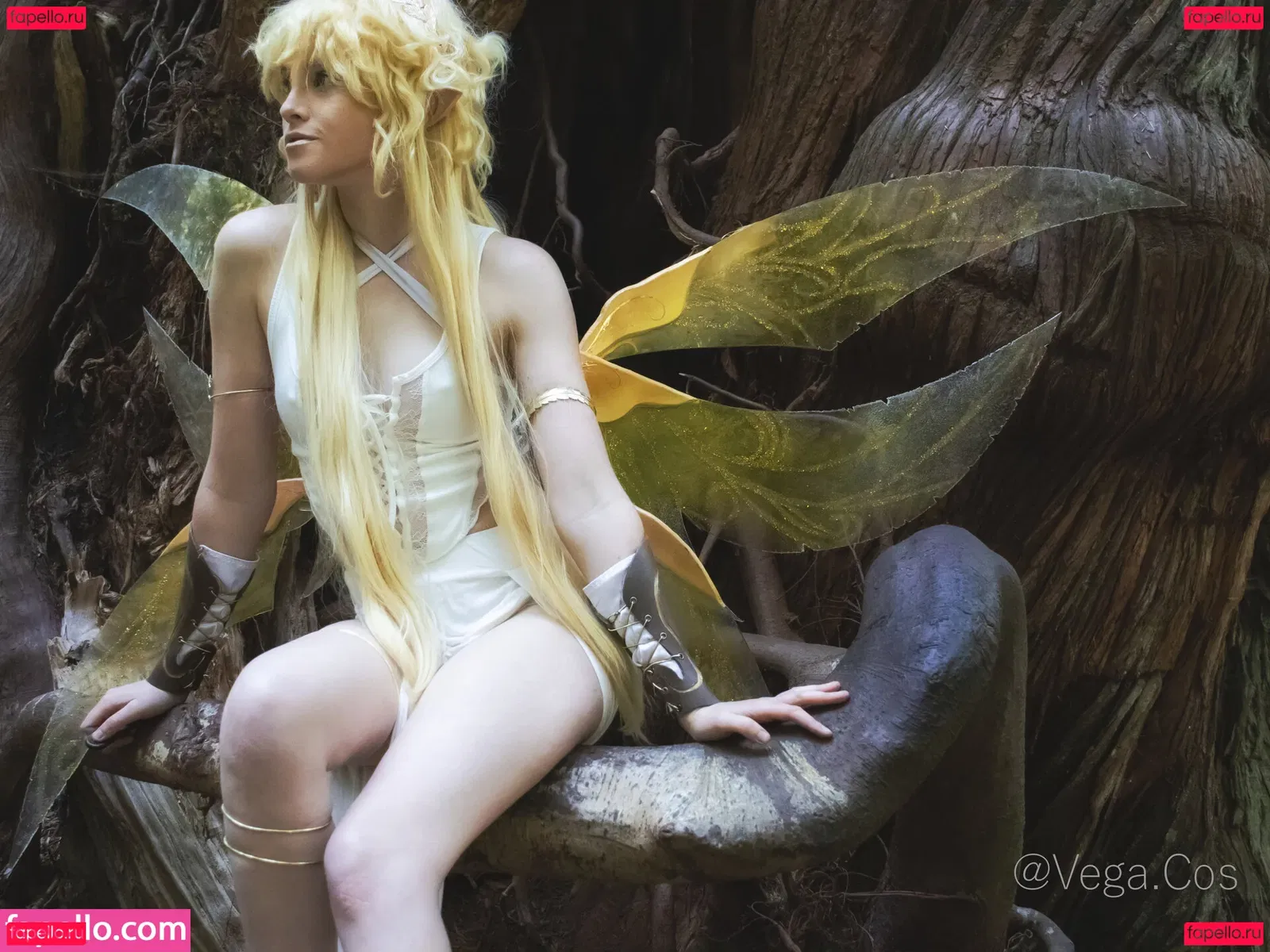 vega.cos Onlyfans Photo Gallery 