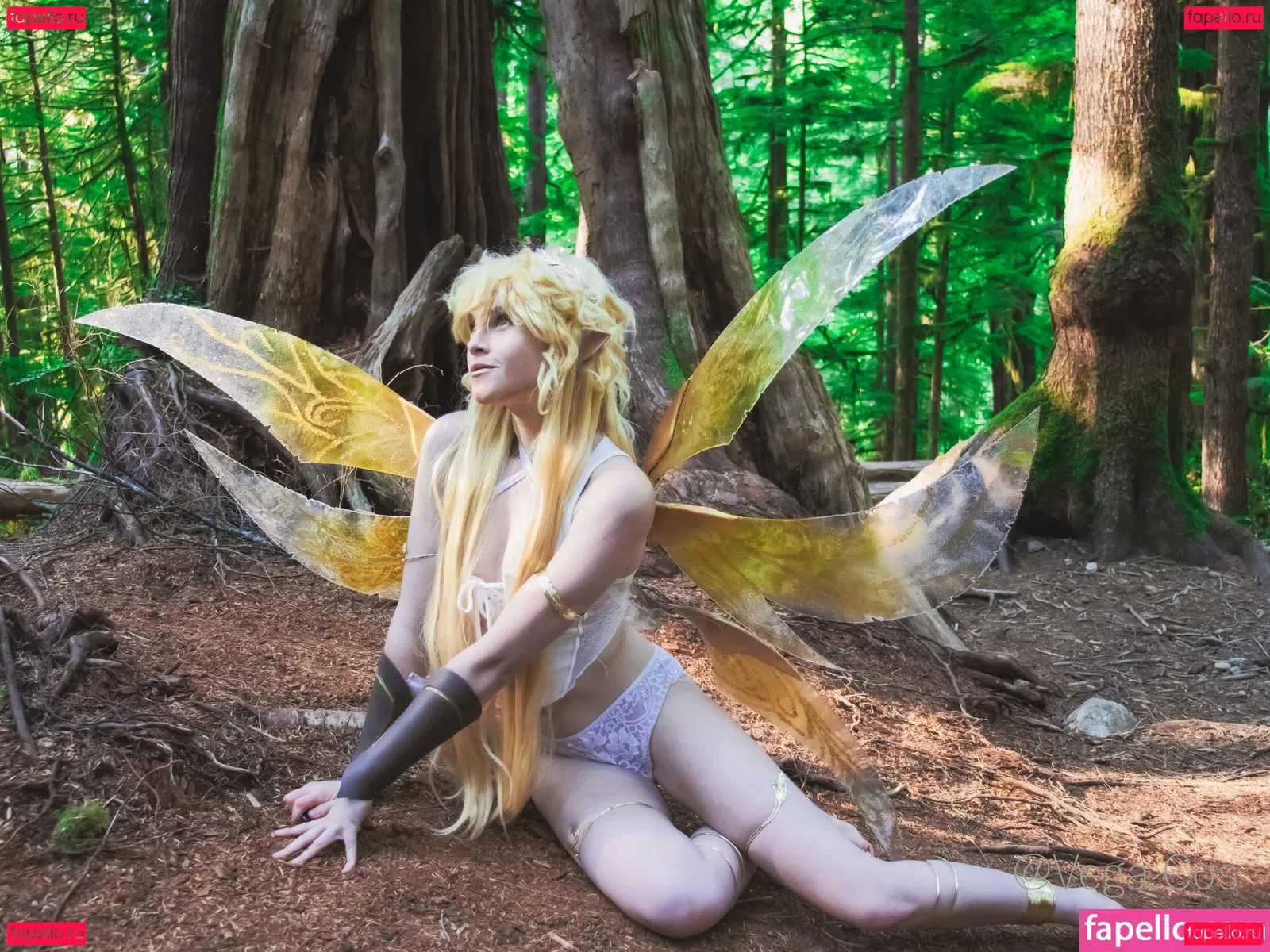 vega.cos Onlyfans Photo Gallery 