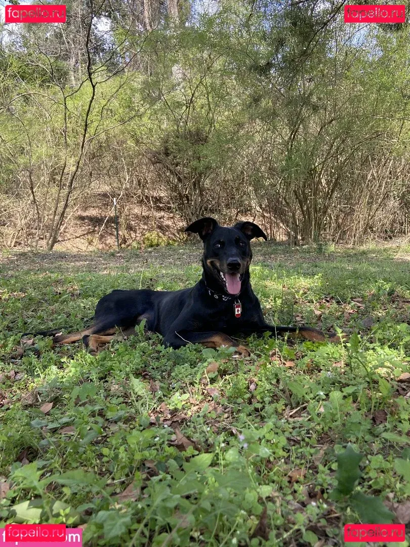 embertay Onlyfans Photo Gallery 