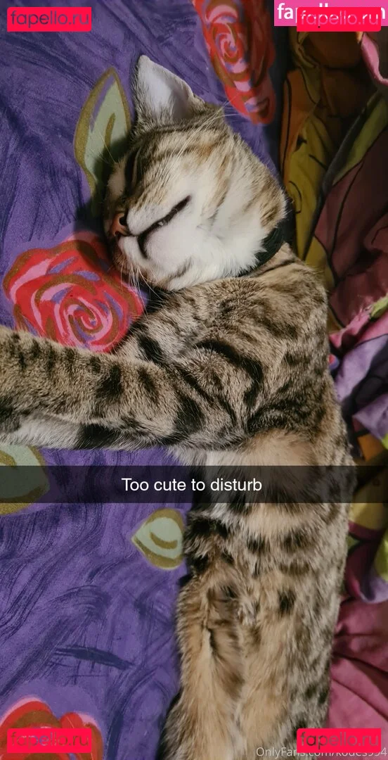 skodes994free Onlyfans Photo Gallery 