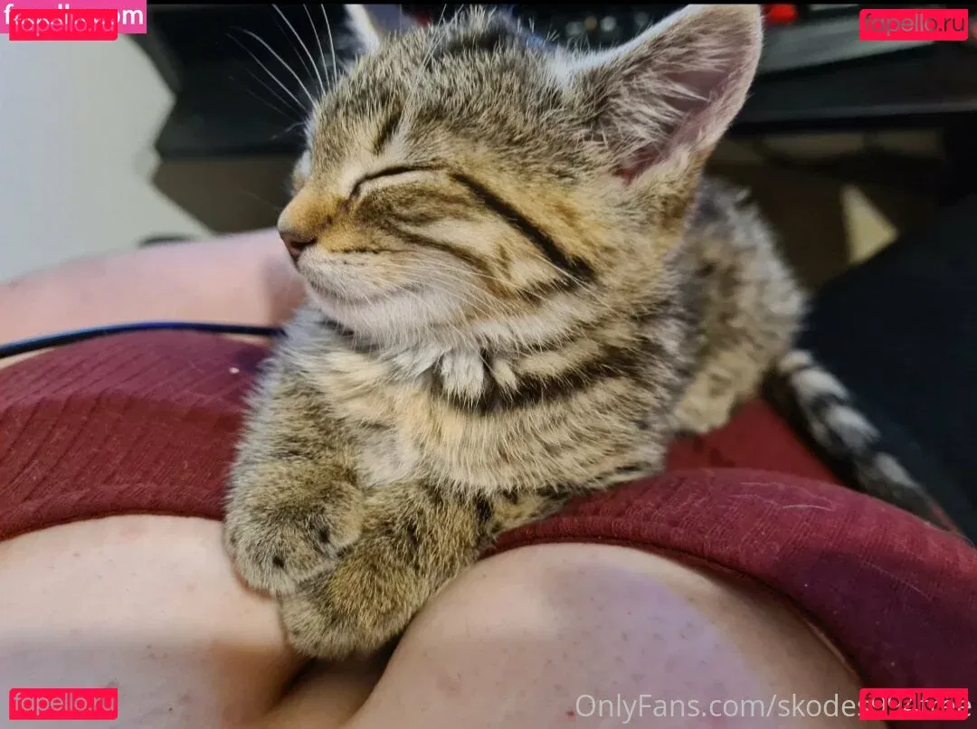 skodes994free Onlyfans Photo Gallery 