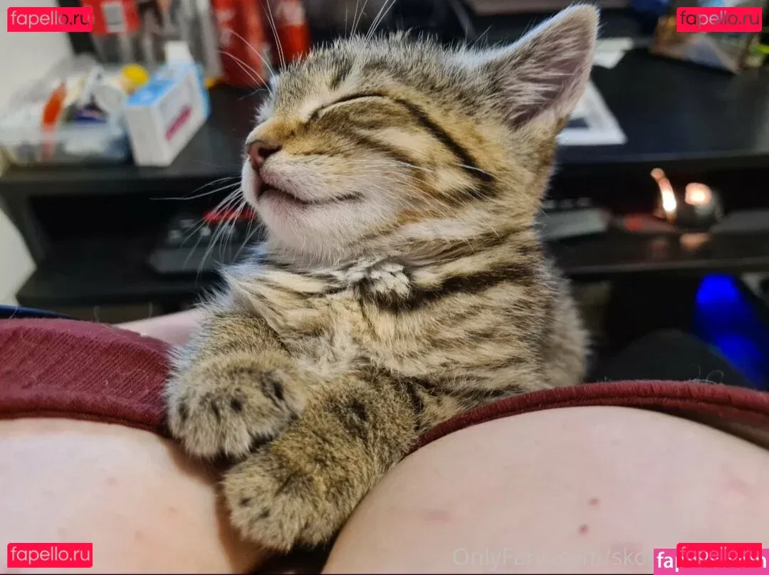 skodes994free Onlyfans Photo Gallery 