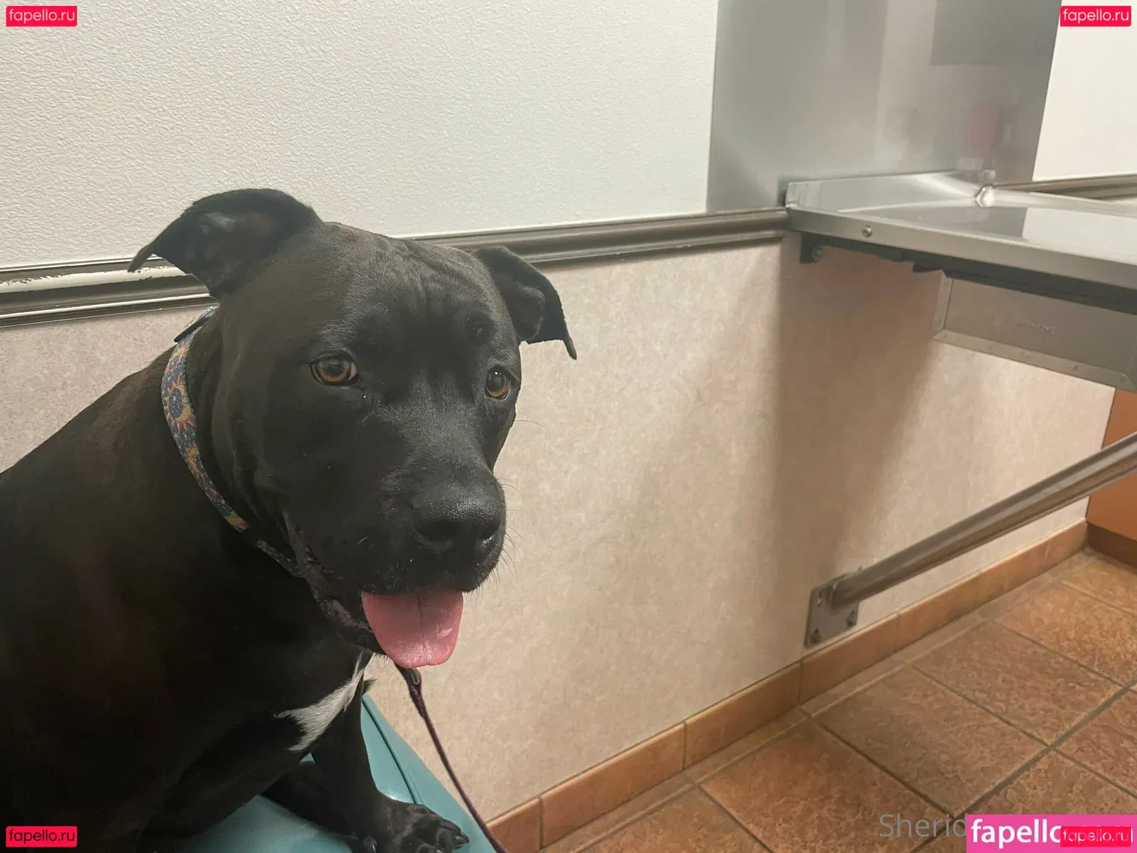 thesheridanlove Onlyfans Photo Gallery 