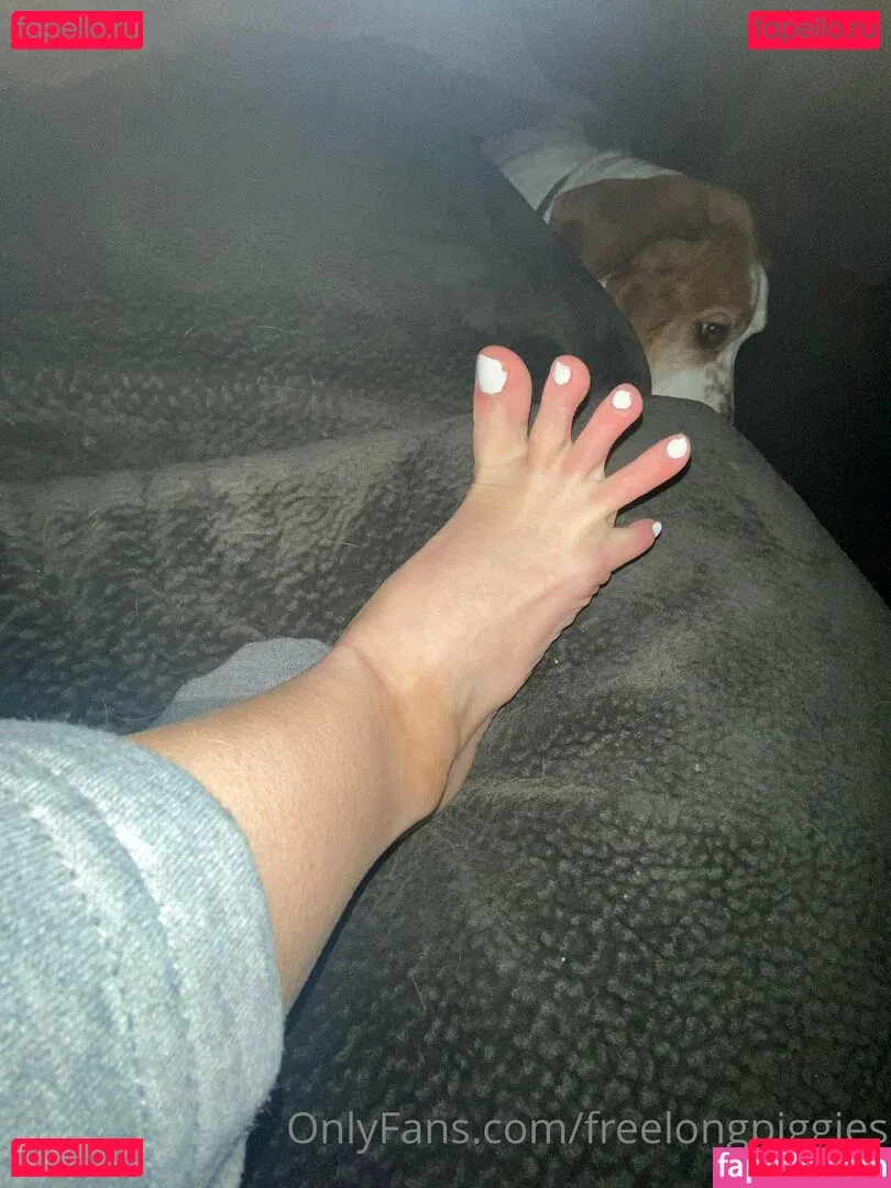 freelongpiggies Onlyfans Photo Gallery 