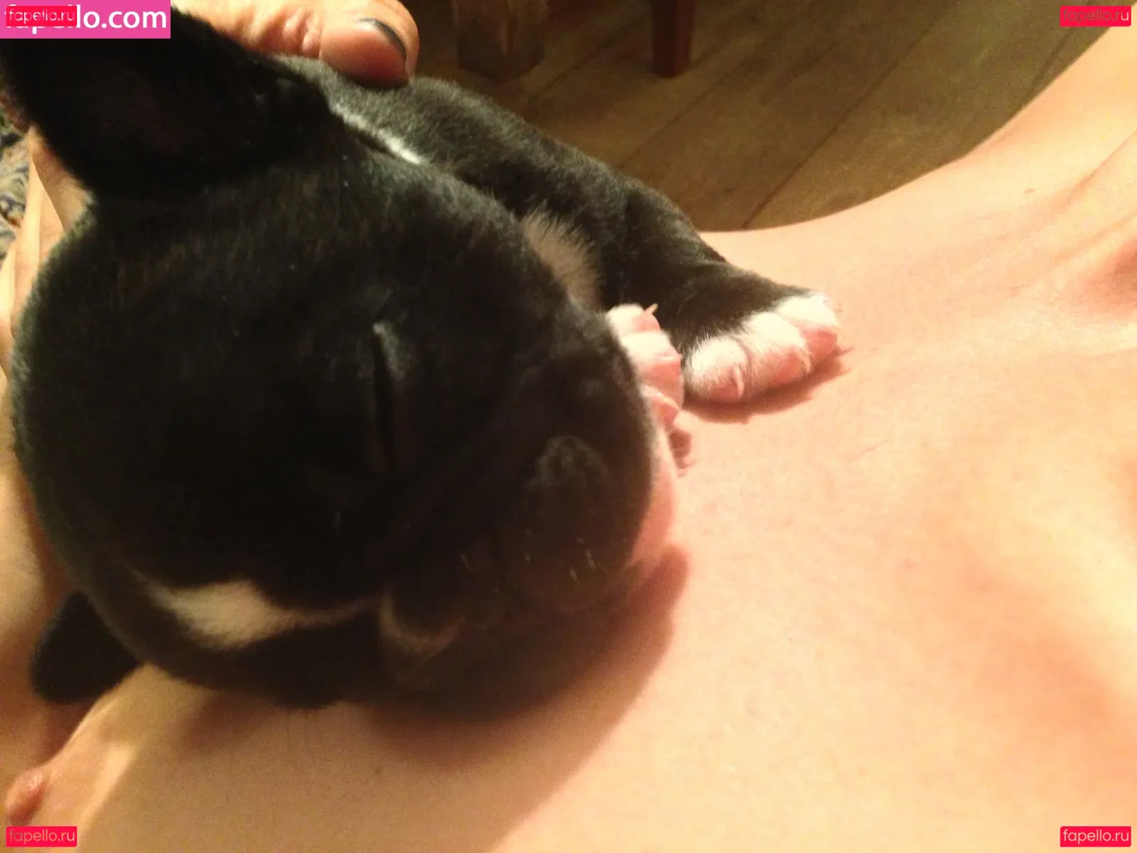 Tamsin Egerton Onlyfans Photo Gallery 