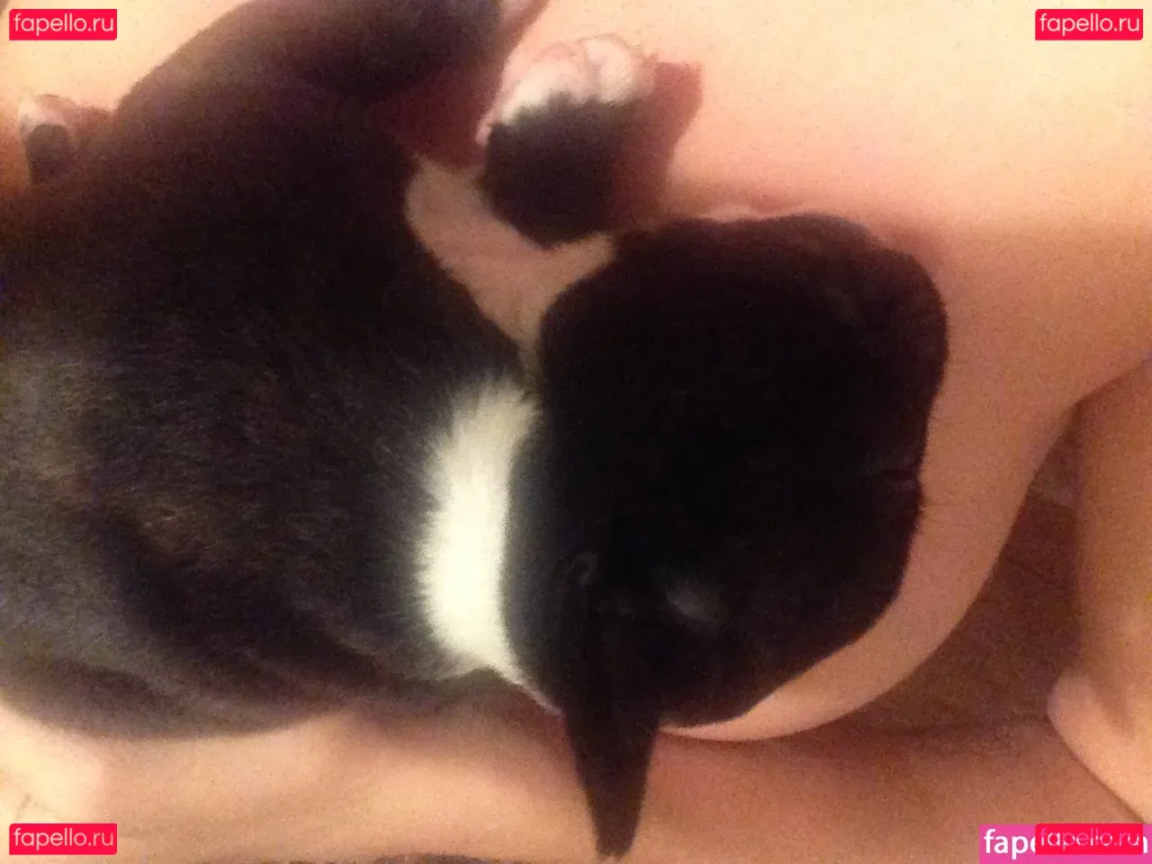 Tamsin Egerton Onlyfans Photo Gallery 