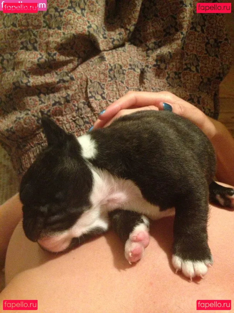 Tamsin Egerton Onlyfans Photo Gallery 