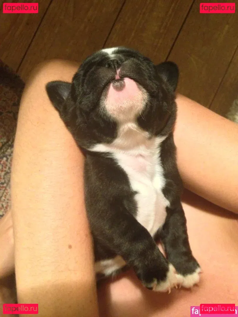 Tamsin Egerton Onlyfans Photo Gallery 