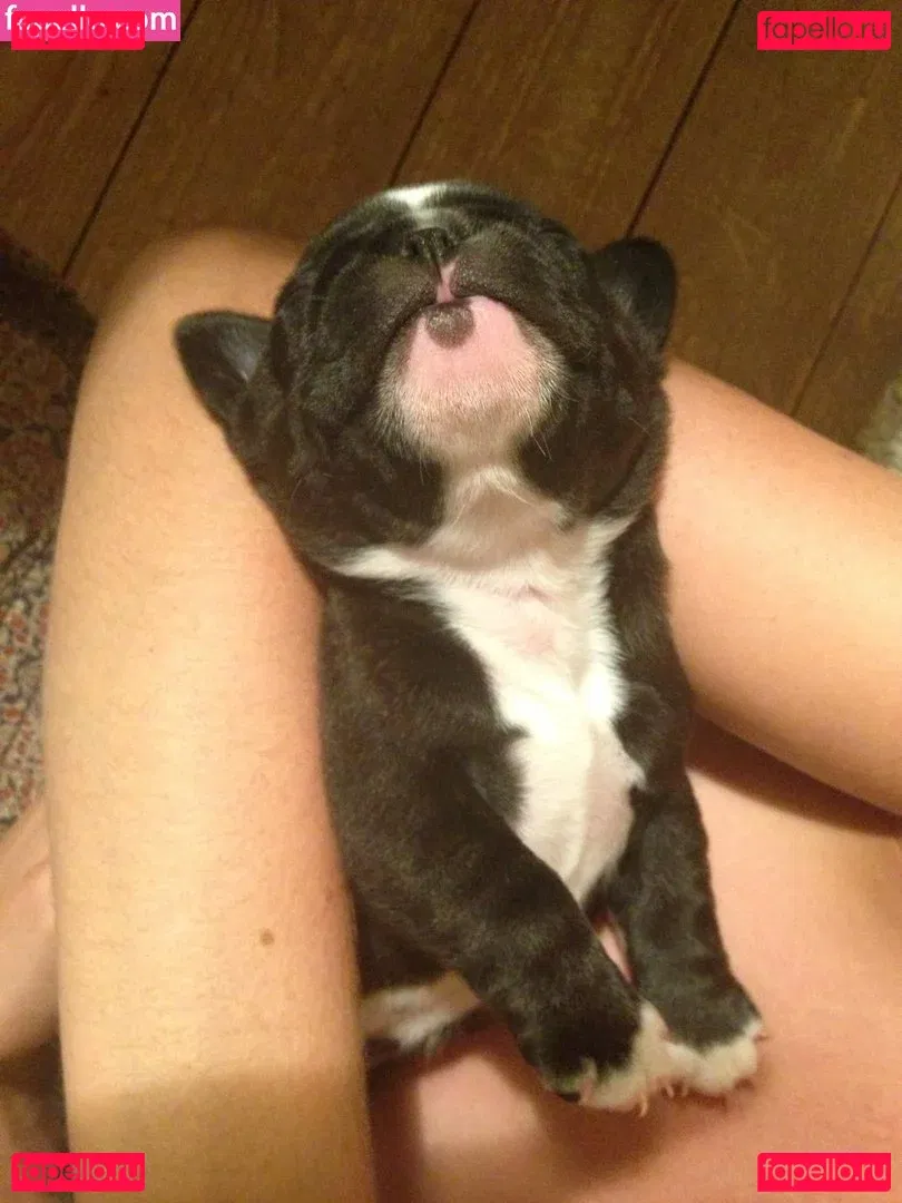 Tamsin Egerton Onlyfans Photo Gallery 