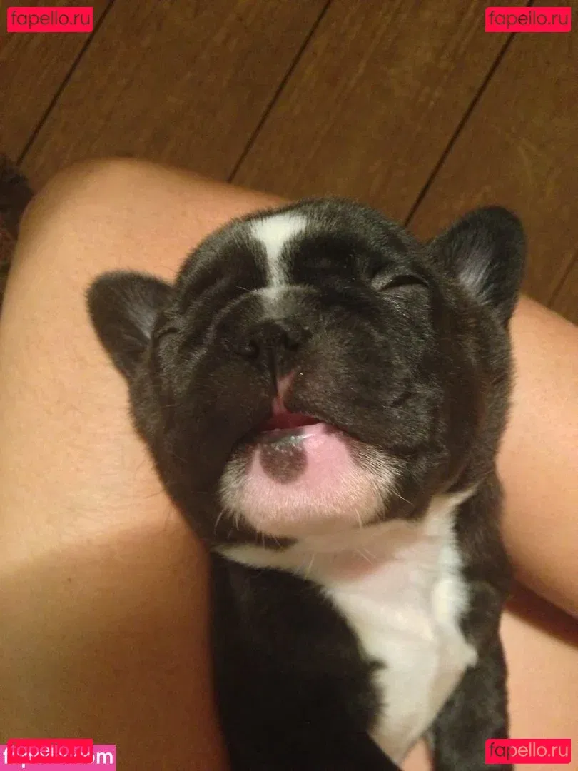 Tamsin Egerton Onlyfans Photo Gallery 