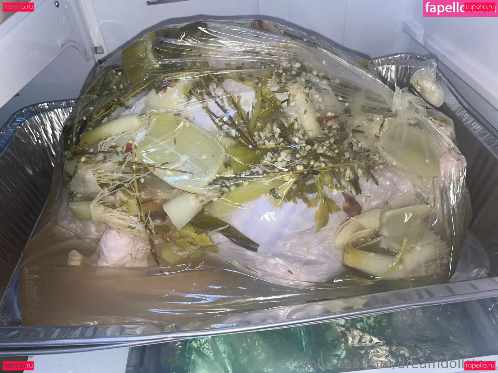 dreamdollstarr Onlyfans Photo Gallery 