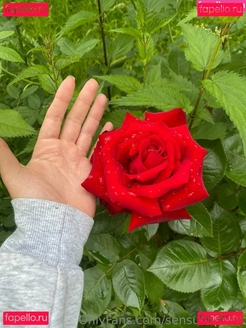 Sensuouszest Onlyfans Photo Gallery 